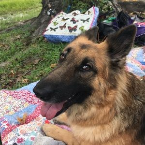 Meet your Posher, Elizabeth